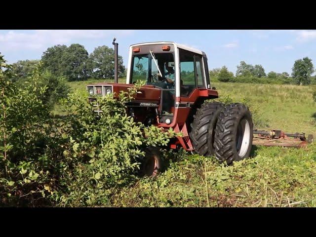 Bush Hogging Extremely Overgrown Briar Patch