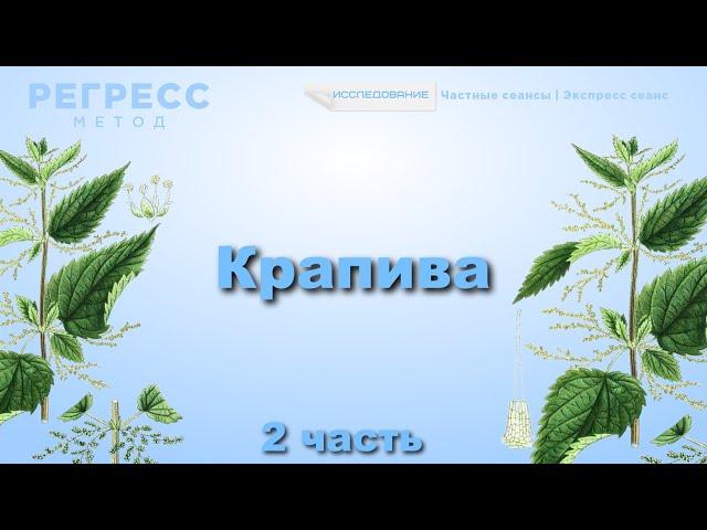 145 #Крапива  (оператор Татьяна, #телепат Андрей) #регрессивный_гипноз #подсознание #психология