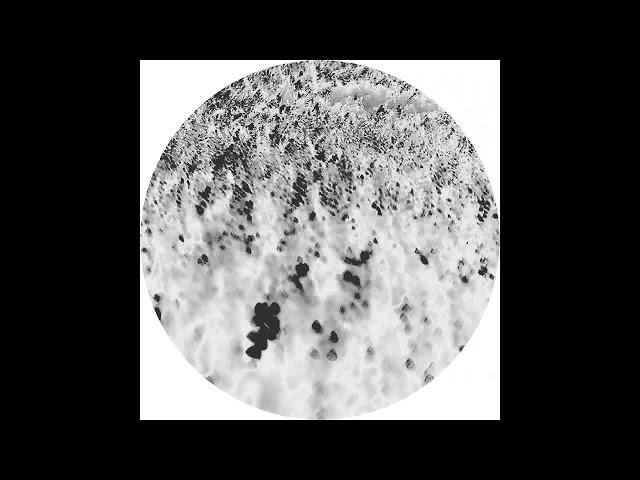 Reggy Van Oers & Joachim Spieth - Undulatus Asperatus (Affin 046 LTD)