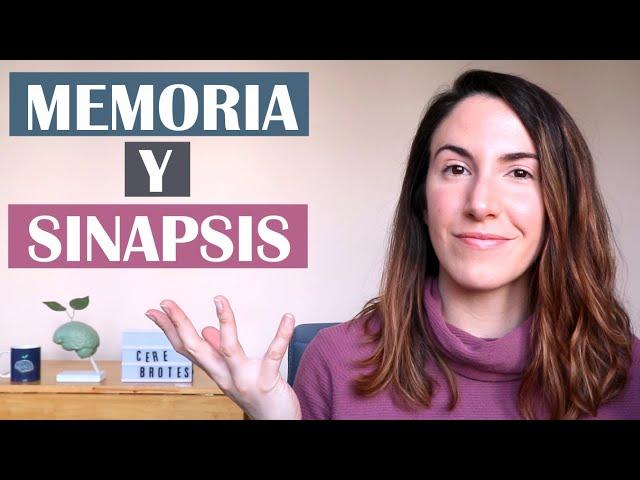 ¿Dónde se almacenan los recuerdos? - Sinapsis y potenciación a largo plazo.