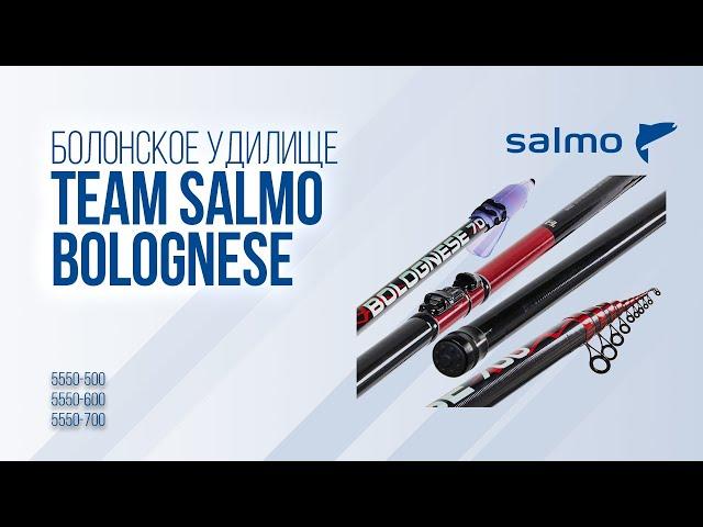Болонское удилище Team Salmo Bolognese. Телескопическое поплавочное удилище с кольцами.