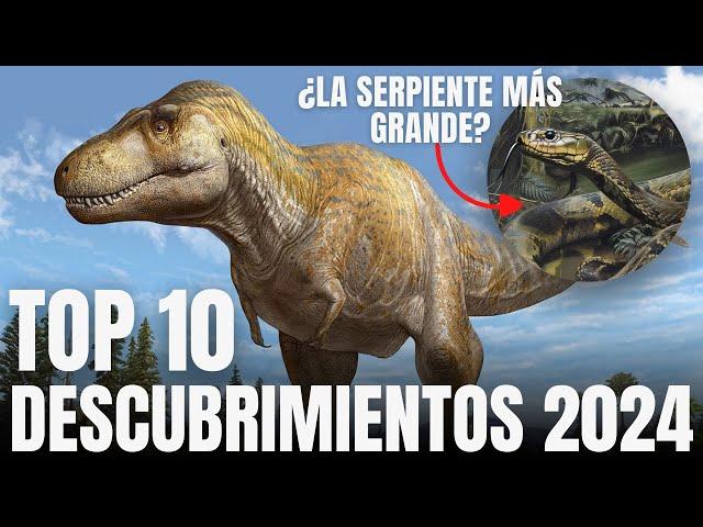 TOP 10: THE BEST DISCOVERIES OF 2024!