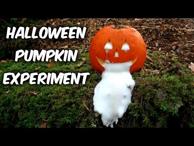 Halloween Pumpkin Experiment