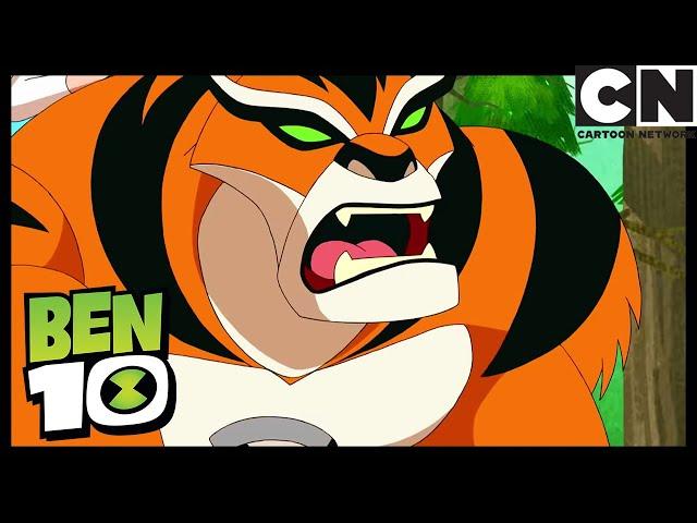Ben and Gwen Search For An Alien Signal | Summer Breakers | Ben 10 | Cartoon Network