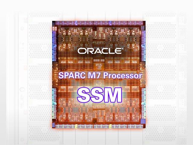 Oracle’s Software in Silicon Technology: Silicon Secured Memory (SSM)