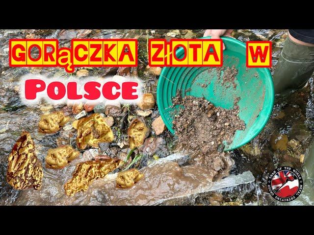 Gorączka Złota w Polsce 