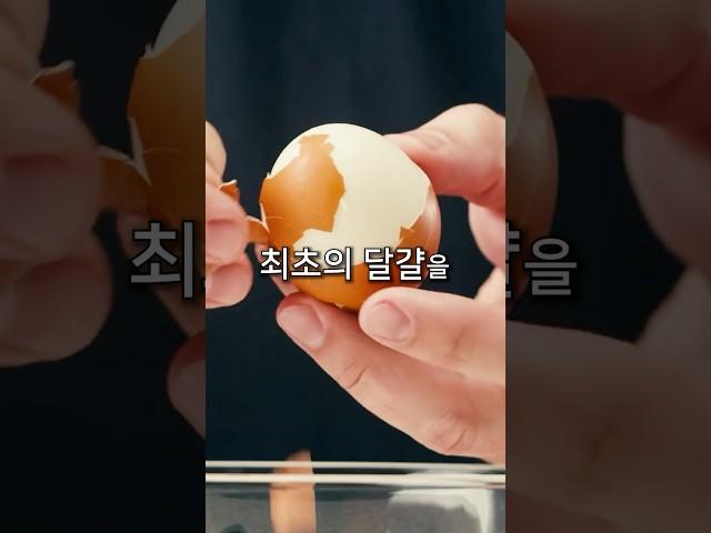 닭이 먼저일까 달걀이 먼저일까