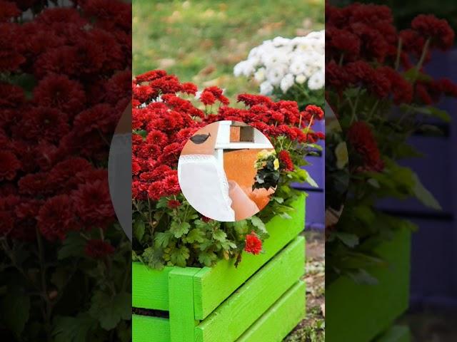 Ιδέες διακόσμησης κήπου #κήποσ #διακόσμηση #diy #garden #flowerbeds #planter #flower #outdoorgarden