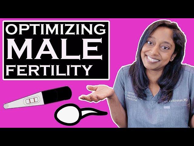 OPTIMIZING MALE FERTILITY