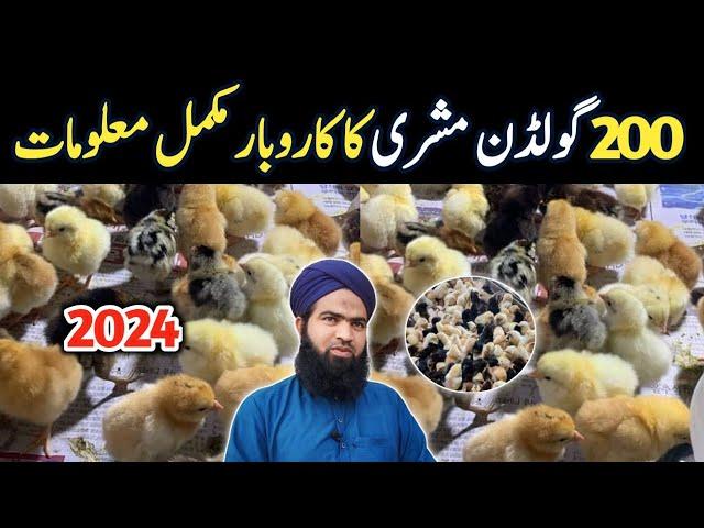 Golden misri business in pakistan | poultry farm business plan | 200 hens complete profit