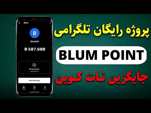 صفر تا صد پروژه فارمینگ تلگرامی blum point جایگزین notcoin