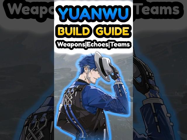 Yuanwu Build Guid Weapons Echoes Teams Wuthering Waves #wutheringwaves #wutheringwavesguide