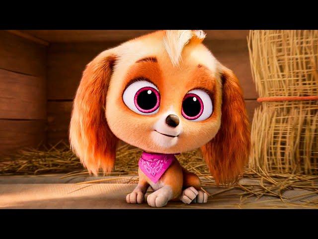 PAW PATROL: The Mighty Movie - “Baby Skye's Story" Lyric Video (2023)