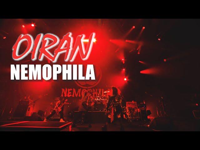 NEMOPHILA / OIRAN [Official Live Video]