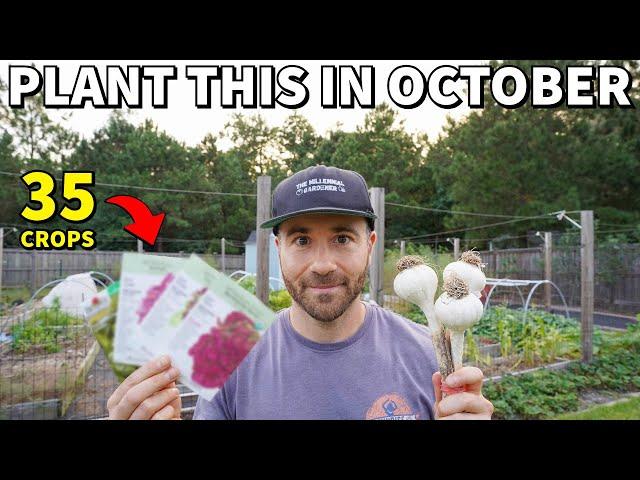 35 VEGGIES To Plant In October For A BEAUTIFUL Fall Garden!