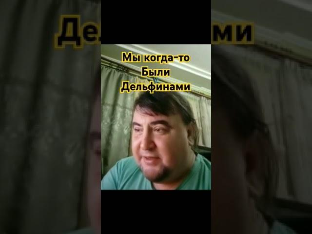 Мы когда-то были дельфинами. Вячеслав Котляров. #котляров #земля сотовая #мы на ферме #мысли