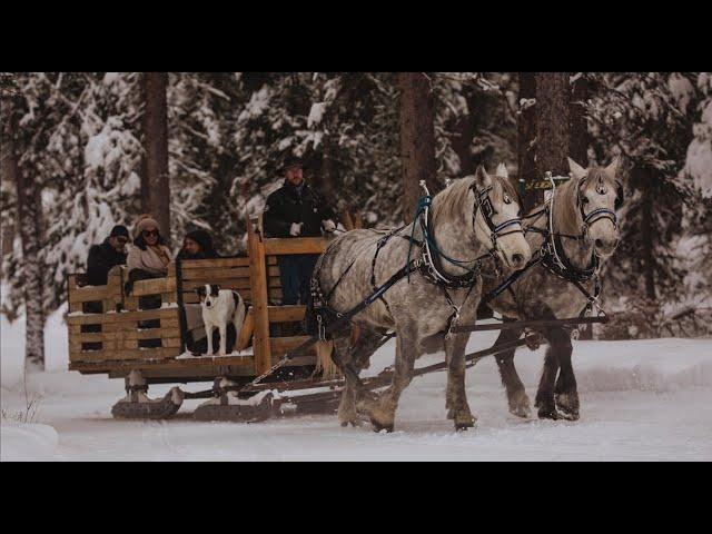 Sleigh Ride Dinner at Lone Mountain Ranch