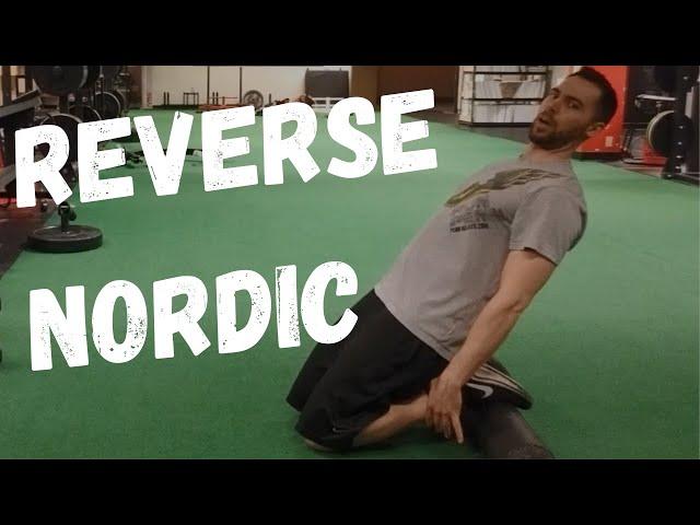 Reverse Nordic Exercise (Beginner to Advanced)