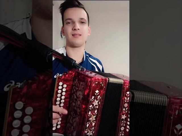 Бабы спорили в Кашире #гармонь #частушка #песниподгармонь #матаня #наигрыши