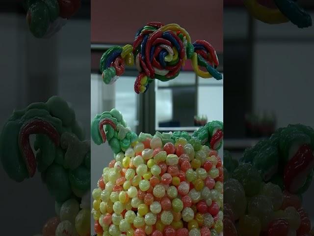 #candy #filter #effects #views #shortsfeed #shortsviral #shortvideo #shorts #trendingonyoutube