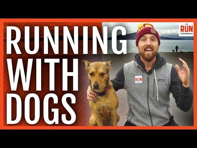 How To Run With Your Dog