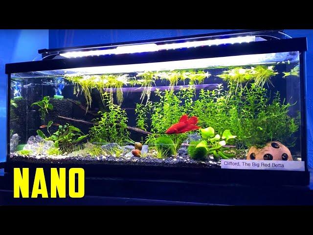 TEENY TINY Ideas for Your Nano Aquarium