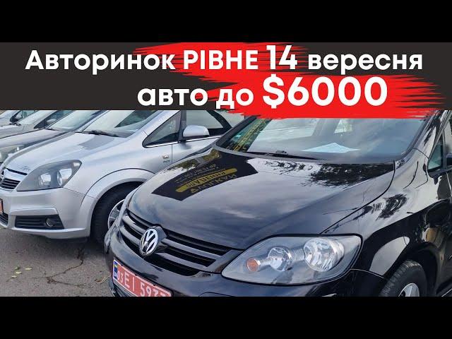 Бюджетні авто до $6000 на Рівненському авторинку 14 вересня #авторинокрівне