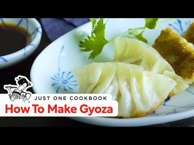 How To Make Gyoza (Japanese Potstickers) (Recipe)  餃子の作り方 (レシピ)