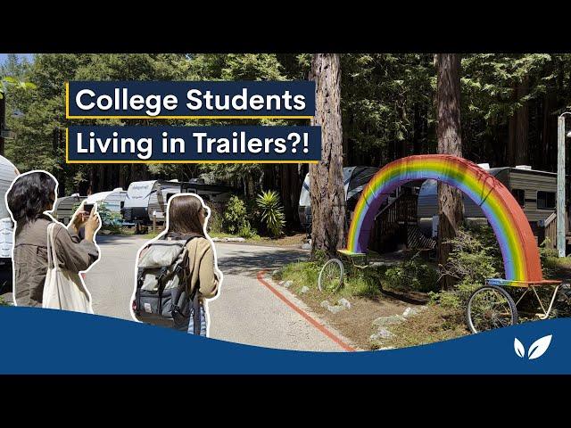 Tour the Most Unique College Dorm in the Country | UCSC Camper Park