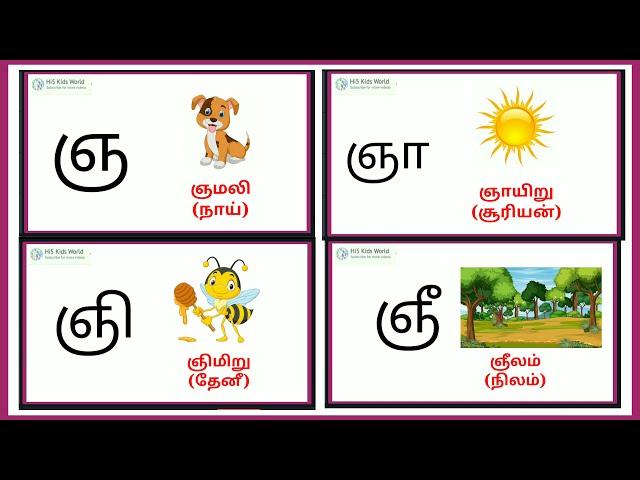 ஞ வரிசை சொற்கள், gna varisai sorkal in tamil, gna varisai sorkkal