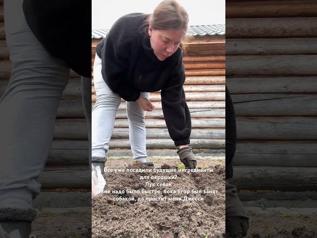 #огород#посадки #садовод#деревня#дом#высадка #свойдом #рассада #каквырастить
