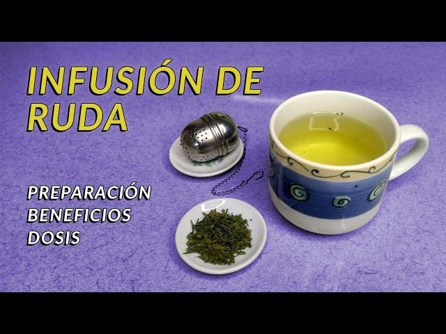 Cómo preparar Infusión de ruda | propiedades y precauciones | un té con Daniela