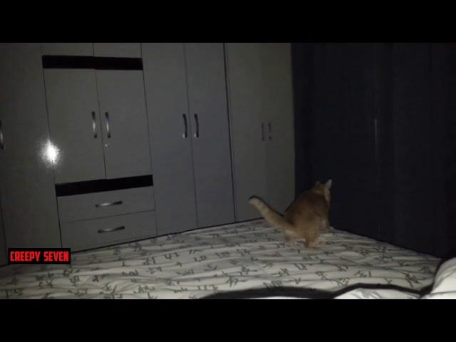 Poltergeist Activity, Paranormal Activity Caught on Tape