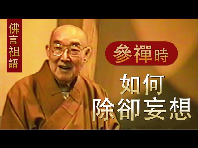 【參禪時，如何除卻妄想 】 - 顯明老法師【法雨剪影】