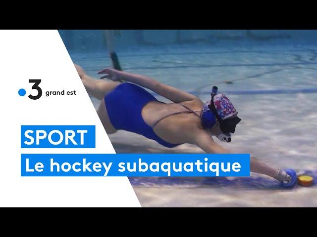 Sport insolite : le hockey subaquatique, du hockey sous l'eau