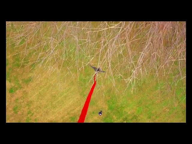 Drone Rescue: Using One Drone to Retrieve Another Stuck in Trees #dronerescue