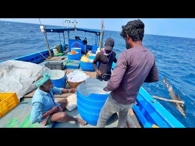 முதல் நாள் தூண்டி தொழிலில் 1 ஆம் பாட்டில் பிடித்த கேரை,பர்லா மீன்கள் | Day 1|Episode 3|Hook Fishing