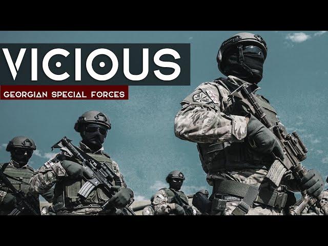 "land of Wolves" | Georgian Special Operations Forces