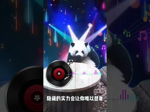 熊猫花花说唱 快放假了 花局给大家带来一首rap #大熊猫和花