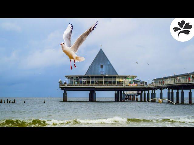 Winter auf Usedom - Wellness, tolles Essen und Strandspaziergänge | deutschlandLiebe by Urlaubsguru