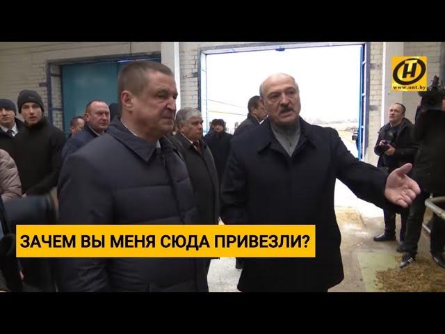 Лукашенко уволил губернатора Могилёвской области... Что он увидел на ферме в Шкловском районе?