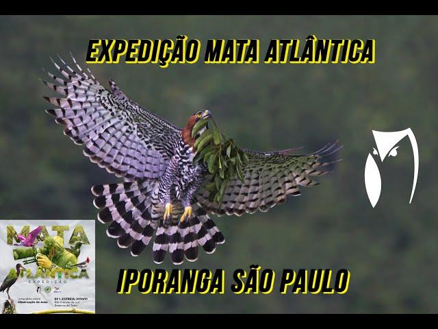 Expedição Mata Atlântica Ep 8 Iporanga -São Paulo