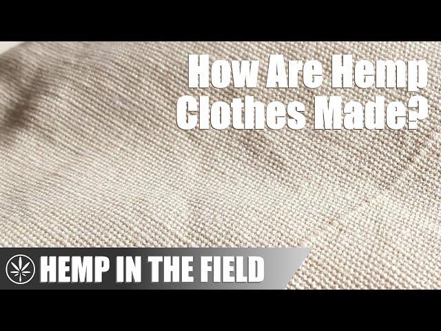 Hemp Fiber | An Eco-Friendly, Textile Powerhouse