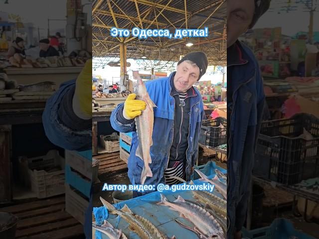 Одесса Привоз Модестович и Риба))) Цены 22.02.2024 #одесса #привоз #обзорцен #привозодесса #shorts