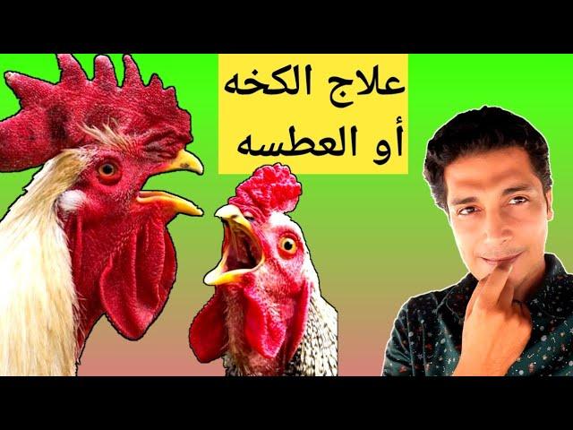 Treatment of sneeze or caugh or respiratory manifestation in poultry or chicken