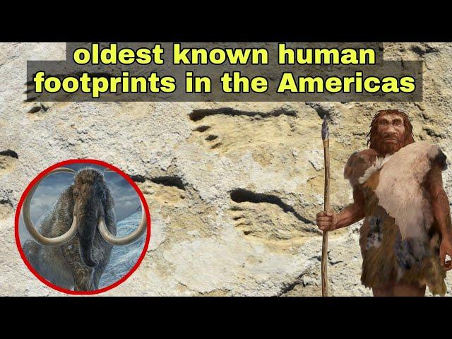 Archaeologists find oldest known Human Footprints in the Americas