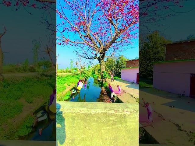 happy holi friends #reels #youtubeshorts #trending #viral #youtube #subscribe #Ravi Singh rb