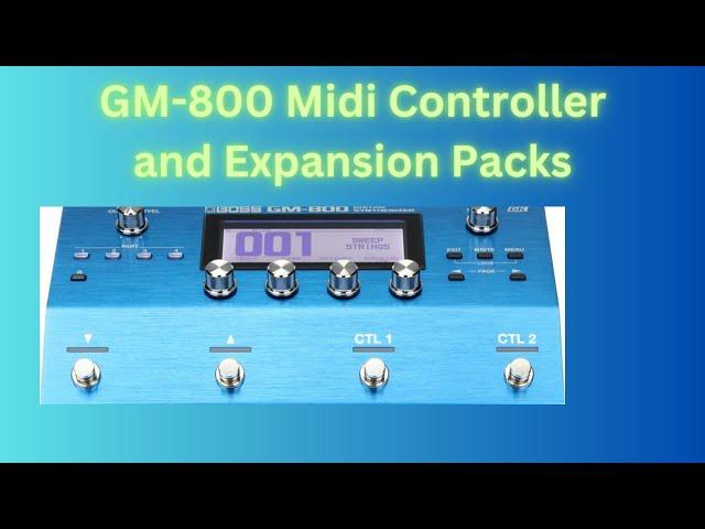 Boss GM 800 Midi Controller and Tone Expansion