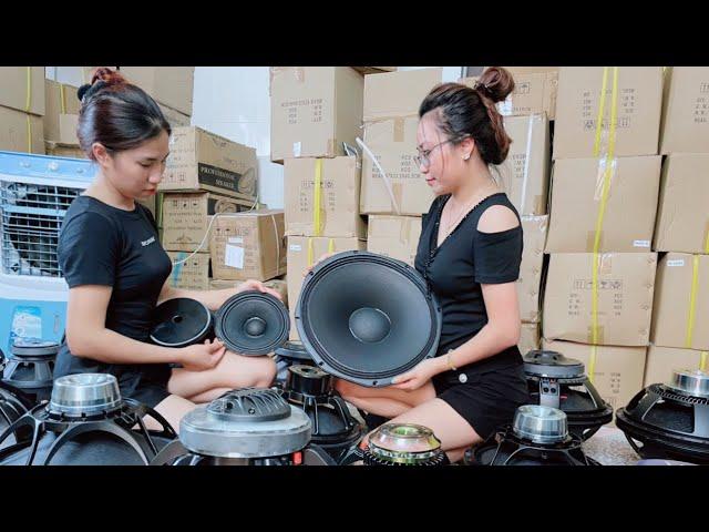 Giải đáp thắc mắc tư vấn các mẫu loa bass rời - Treble và phân tần ! Zalo 0822.633.777