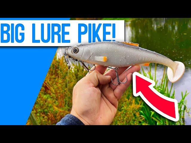 Autumn Pike Fishing with BIG Lures!